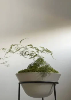 Audo Copenhagen Daiza Planter