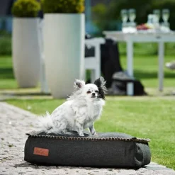 Hot SACKit Dog Bed Mini Cobana Black