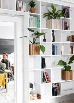 Hot SQUARELY CPH GrowON Dark Oak