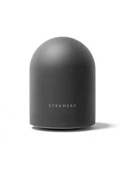 Hot STEAMERY Pilo No.2 Fabric Shaver Charcoal