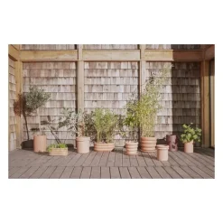 OYOY LIVING Ring Planter